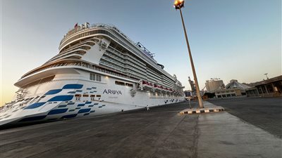 تداول 16 ألف طن و886 شاحنة بضائع عامة ومتنوعة بموانئ البحر الأحمر