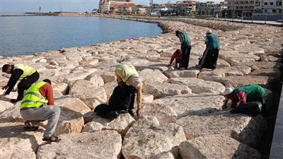 تكثيف جهود نظافة رأس البر تنفيذا لتوصيات لجنة الاصحاح البيئي بالمحافظة