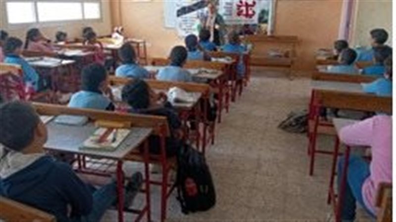 جانب من النشاط 