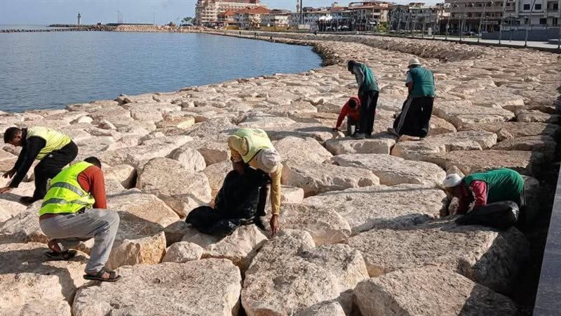 تكثيف جهود نظافة