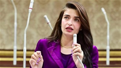 د. إيرين سعيد: الدولة المصرية عملت على تمكين ذوي الهمم إقتصادياً وإجتماعياً 