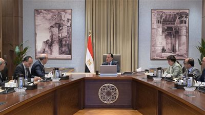 رئيس الوزراء يلتقي المدير العام لمنظمة الأغذية والزراعة للأمم المتحدة