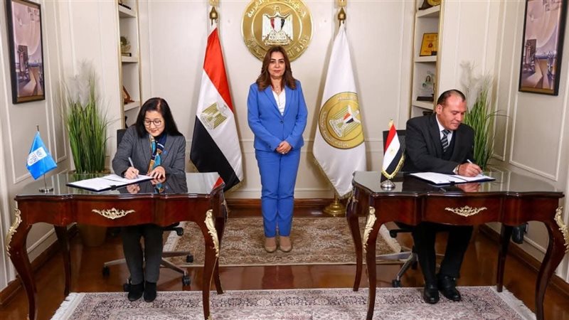 التنمية المحلية