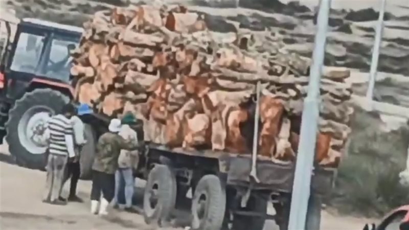 صورة من الفيديو 