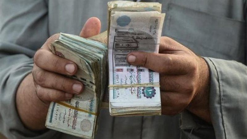 معاشات يناير 2026