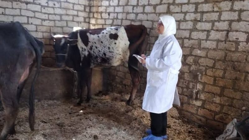 جانب من التحصين