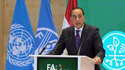 رئيس الوزراء: مصر تؤكد التزامها الكامل بتعزيز التعاون مع منظمة 