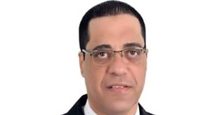 محمد حسن عبده: الطعون تصحح الأخطاء ولا تعيد الانتخابات