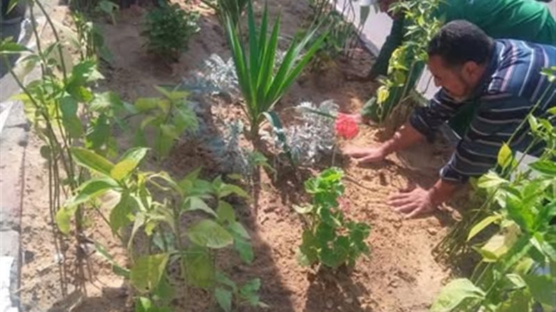 مبادرة 100 مليون