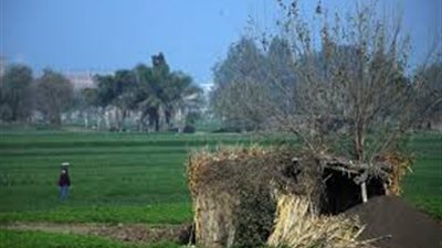 زراعة الشيوخ تطالب الأوقاف بمراجعة: الزيادات الأخيرة للأراضي