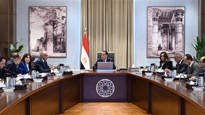 رئيس الوزراء يتابع الموقف التنفيذي لجهود مواجهة التعديات وحماية مجرى نهر النيل