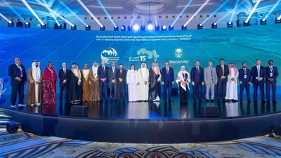 اختيار المركزي للمحاسبات عضوًا في المجلس التنفيذي للأرابوساي