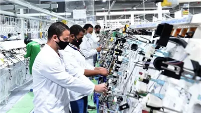 كمال ريان: مصر وجهة عالمية لتصنيع ضفائر السيارات الكهربائية 