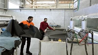 خبير اقتصادي: مركز تكنولوجيا الدباغة في الروبيكي نقلة نوعية لصناعة الجلود