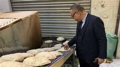 محافظ الدقهلية: ضبط نصف طن لحم مفروم ضمن 158مخالفة خلال ثلاثة أيام