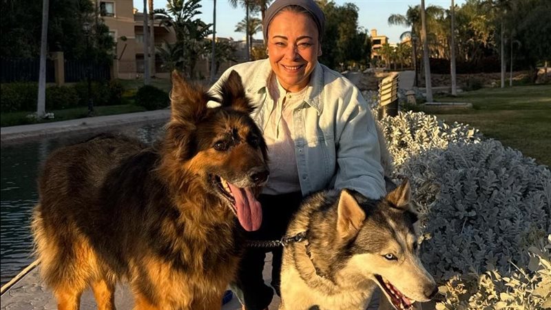 نهاد أبو القمصان