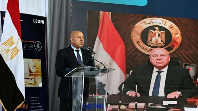 كامل الوزير: مصر