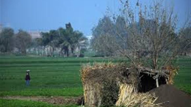 صغار مستأجري أراضي