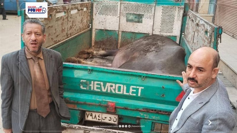 تموين المنيا 