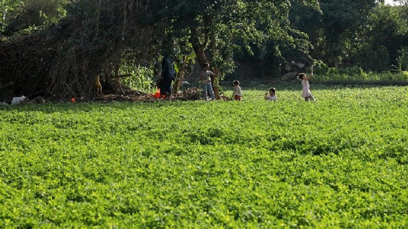 أراضي الأوقاف