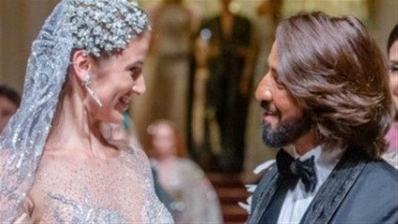 هاني البحيري