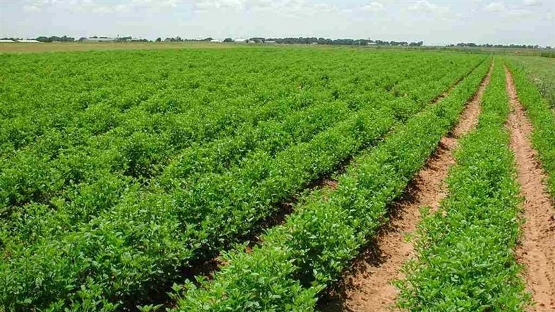 أراضي الأوقاف