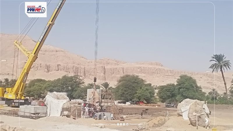 صورة من موقع العمل