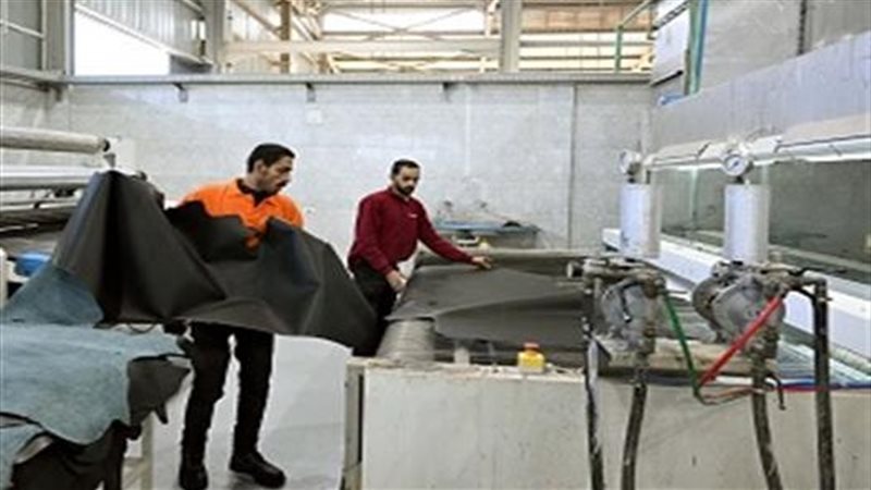 دباغة الجلود في الروبيكي