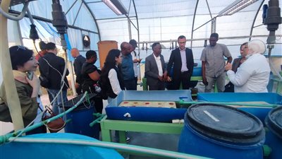 التعليم العالي: تعزيز التعاون الدولي لدعم الاقتصاد الأزرق والاستزراع المائي