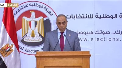 مؤتمر صحفي للهيئة الوطنية لمتابعة التصويت للمصريين بالداخل|بث مباشر