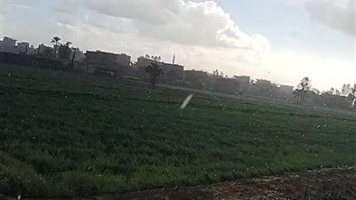 تقلبات جوية مفاجئة تضرب الشرقية.. والخدمات الميدانية في حالة استعداد كامل