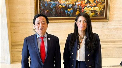 وزيرة التخطيط تبحث مع مدير عام  الفاو تعزيز الأمن الغذائي