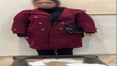 ضبط سيدة بحوزتها بطاقات شخصية وتحريضية لدفع الناخبين للتصويت لمرشح بالإسكندرية