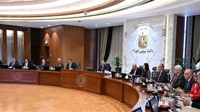  مجلس الوزراء: يناقش الوسائل القانونية لتعزيز منظومة التصدي للشائعات والأخبار 