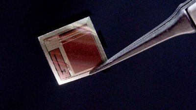 علماء يبتكرون أصغر وأسرع واجهة دماغ حاسوب في العالم