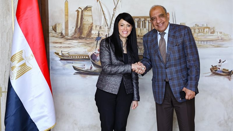 وزيرا التخطيط والكهرباء