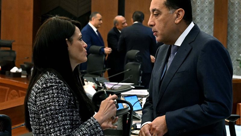 مدبولي والمشاط