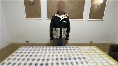 الأمن يحاصر سماسرة الإنتخابات و توجيه المواطنين بدائرة بدر بالبحيرة 