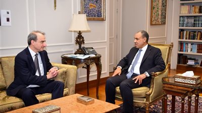 وزير الخارجية يستقبل مدير عام السياسات باللجنة اليهودية الأمريكية