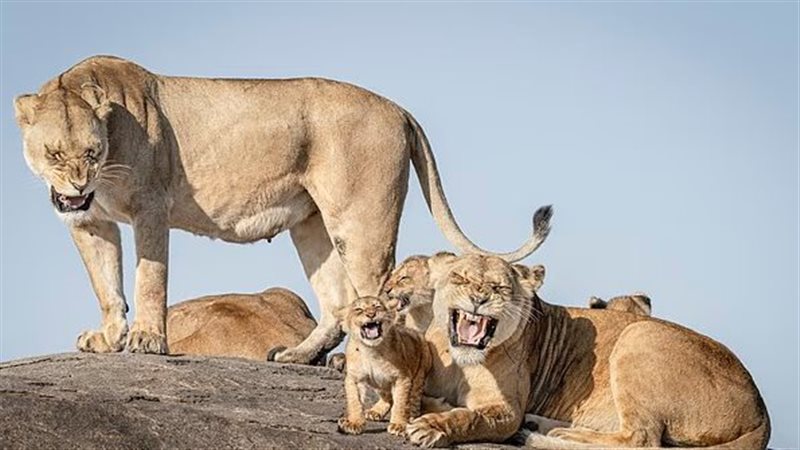  لقطات تحصد جوائز