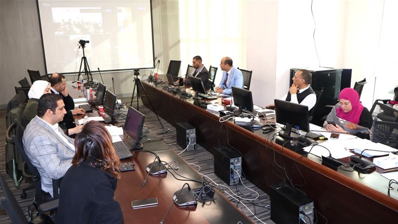  مجلس الشباب المصري