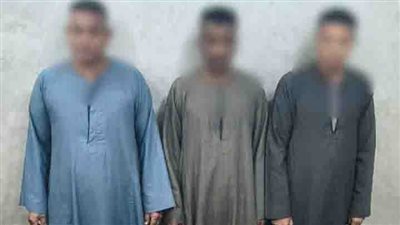 سقوط 3 أشخاص بحوزتهم كروت دعاية إنتخابية بمحيط إحدى اللجان الإنتخابية بأرمنت 