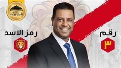 خسارة مرشح حماة الوطن أمام مستقل بالأقصر في الانتخابات الملغاة لمجلس النواب
