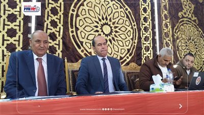 ننشر نتيجة الحصر العددي للانتخابات بالدائرة الثالثة بالفيوم 