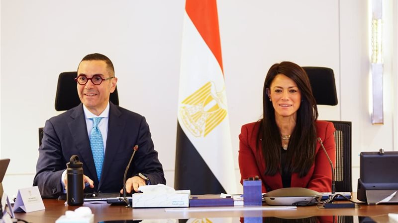 رانيا المشاط وحسن