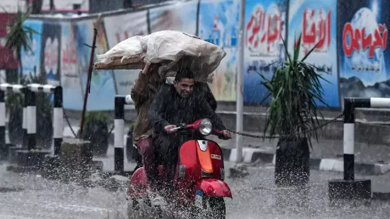 فصل الشتاء 2025