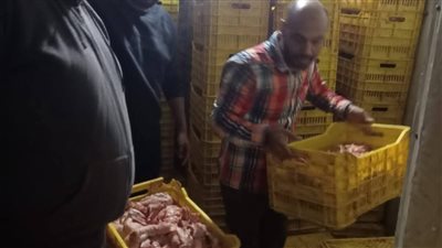 خلال شهر.. ضبط 45 طن من الدواجن واللحوم الفاسدة بالجيزة | صور 