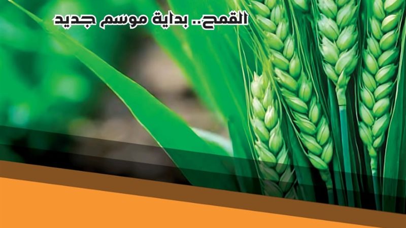 وزاره الزراعه