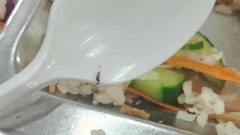 صورة من الطعام 