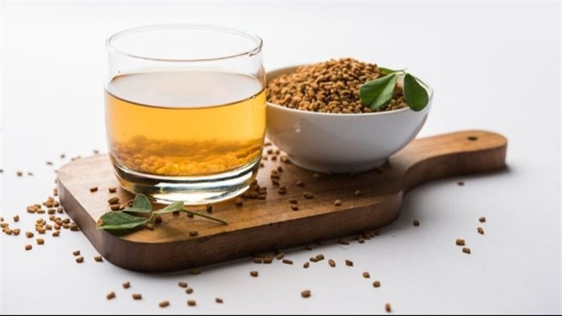 الحلبة